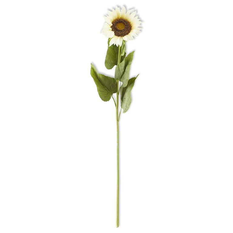 Cream Sunflower Stems
