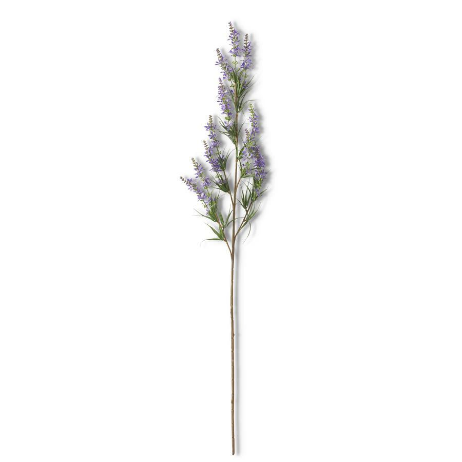 Purple Golden Rod Stem