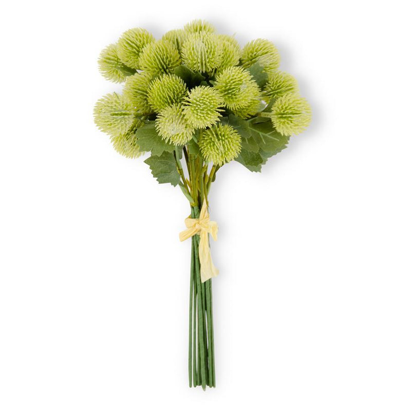 Light Green Sycamore Fruit Ball Bundle