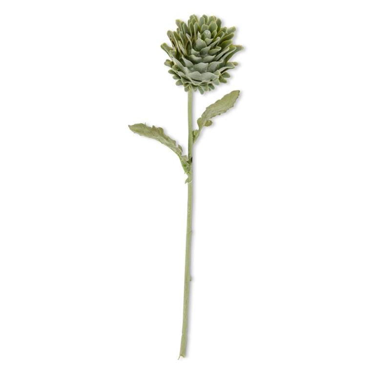 Green Artichoke Stem