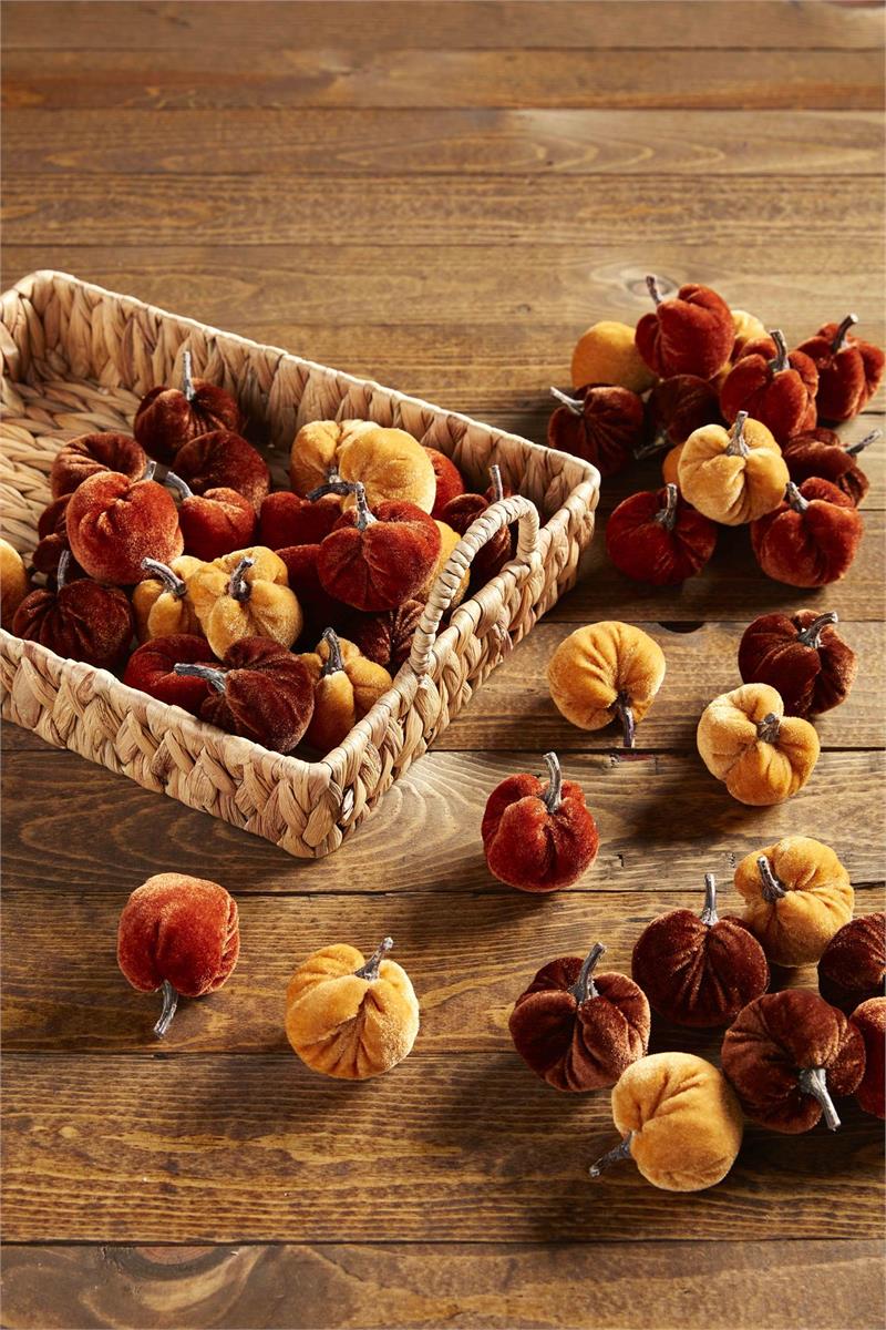 Harvest Mini Pumpkin Set