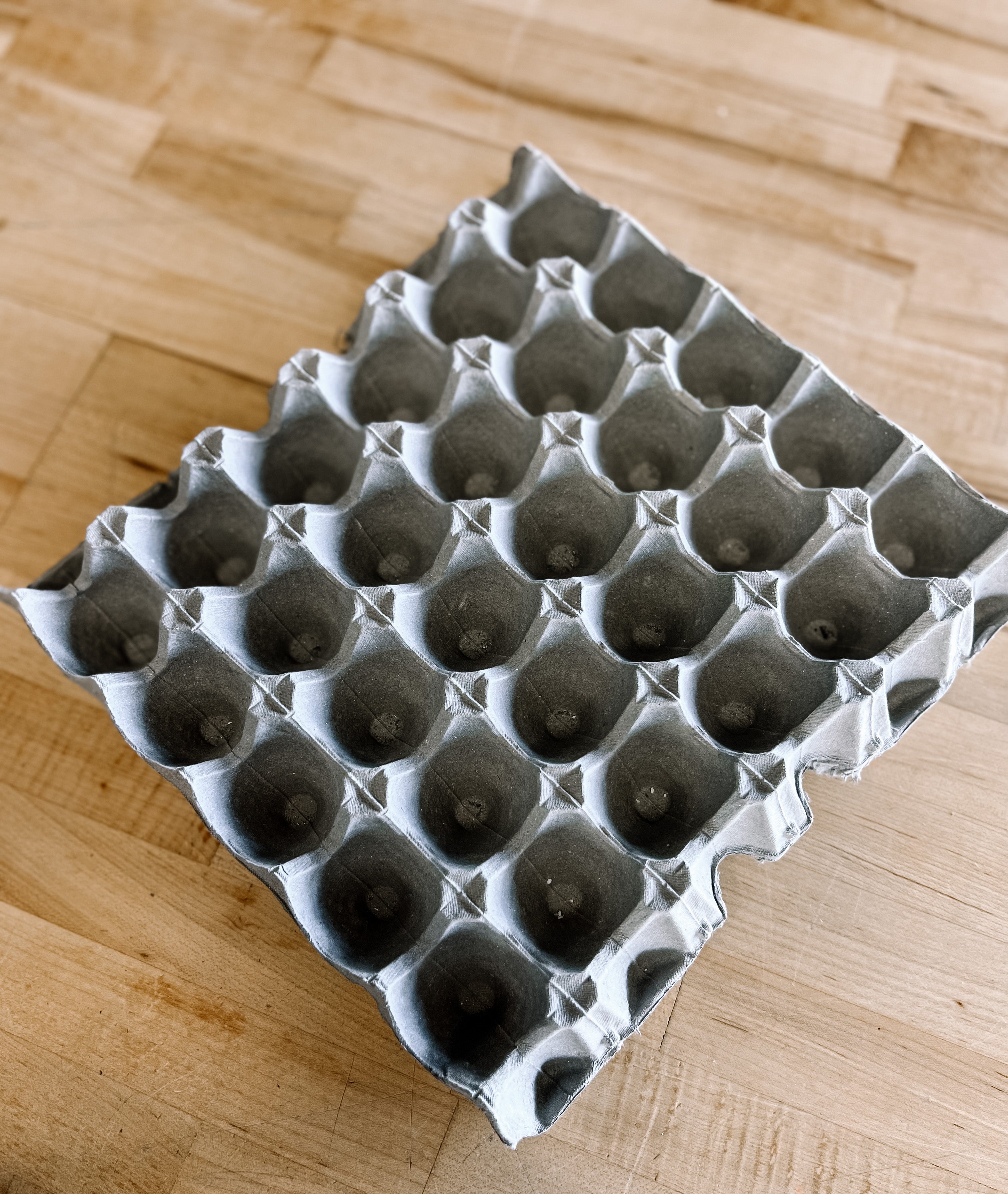Egg Carton