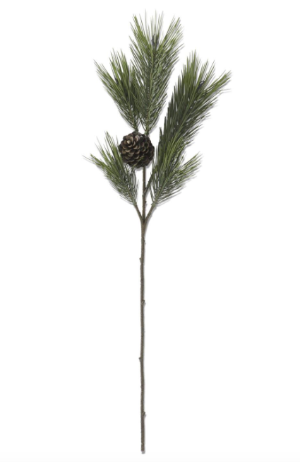37" Long Needle Pine Stem w/one Pinecone & Pods