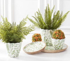 Fern Enameled Wood Plates