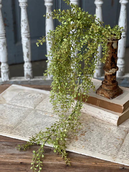 Baby's Grass Hanging