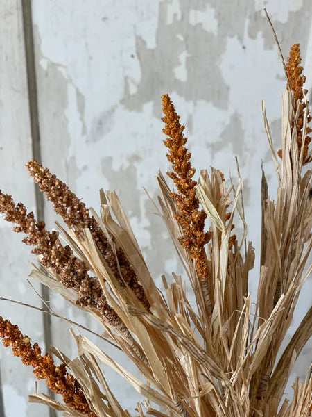 Millet Grass Bush