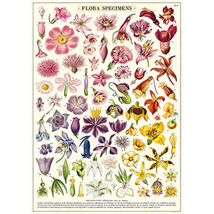 Vintage Floral & Botanical Posters