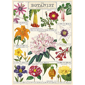 Vintage Floral & Botanical Posters