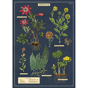 Vintage Floral & Botanical Posters