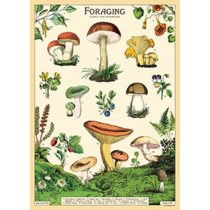 Vintage Floral & Botanical Posters