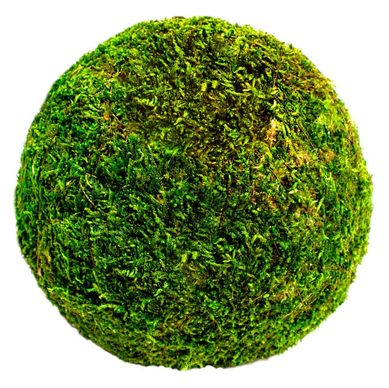 Moss Balls