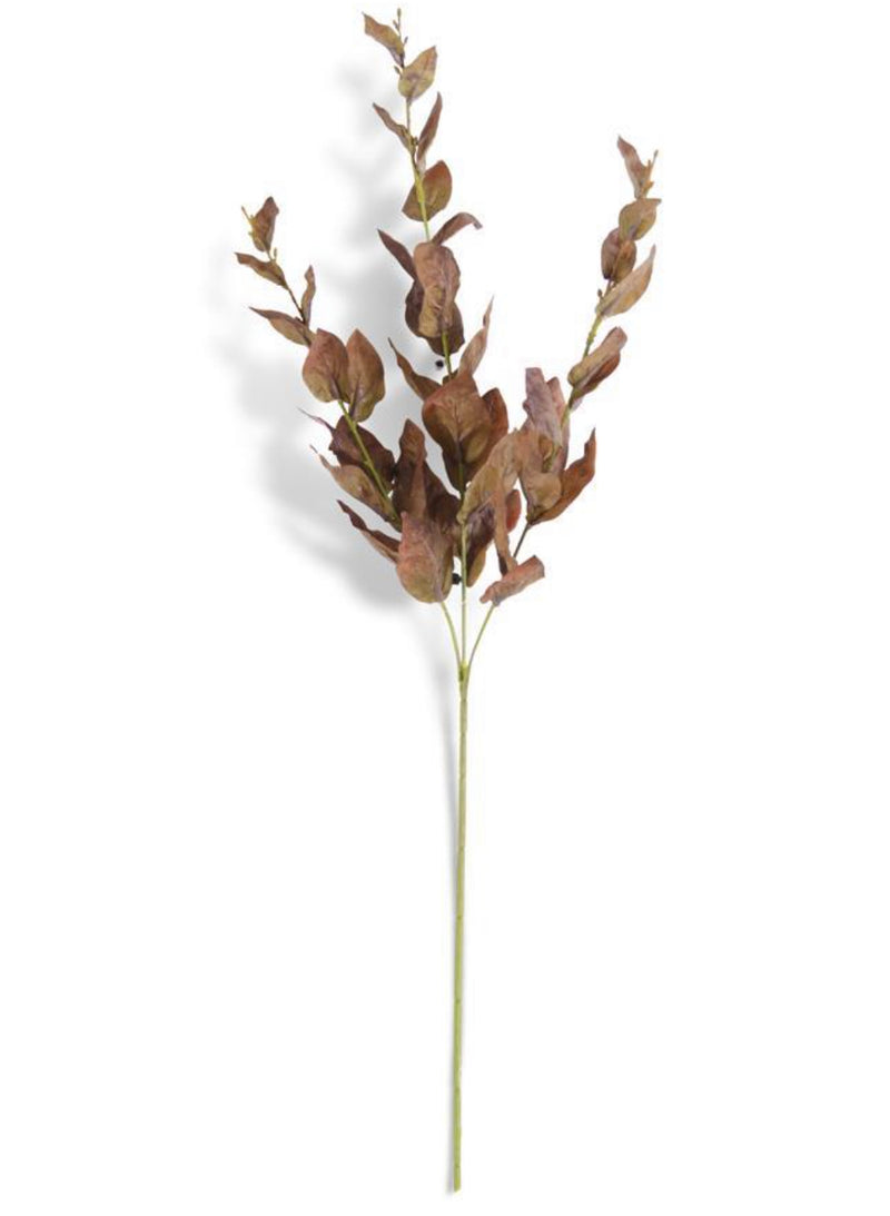 Basil Stem