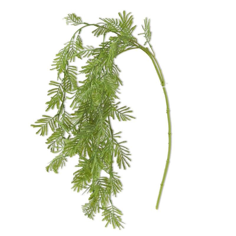 Parrot Feather Fern Spray