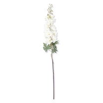 Delphinium Stem