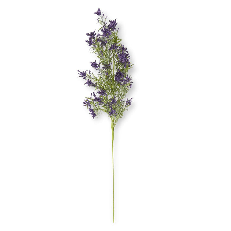 Purple Lavender Stem