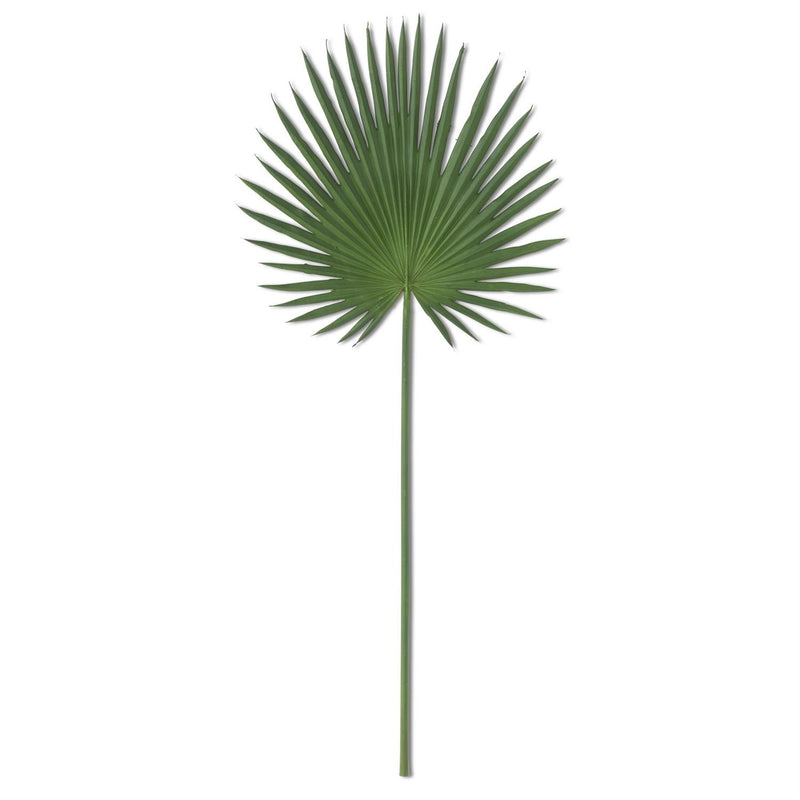 Fan Palm Leaf Stem
