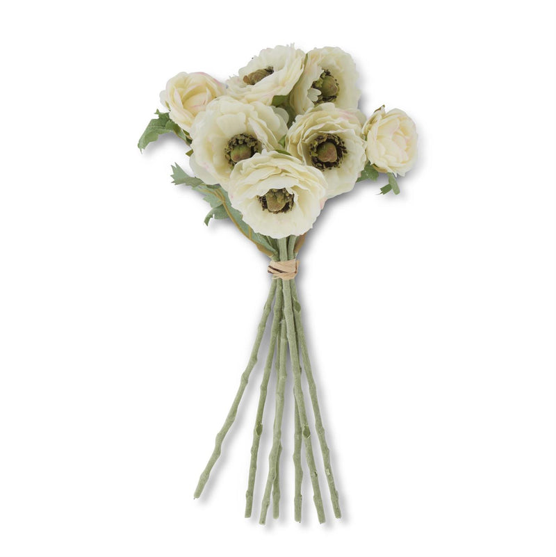 White Ranunculus Bundle w/Flocked Stem (7 Stems)