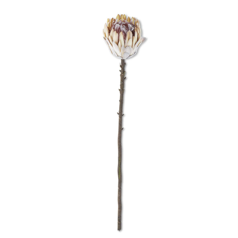 Flocked Cream King Protea Stem