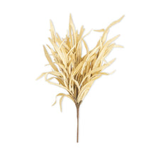 Load image into Gallery viewer, Eva Grass Bush