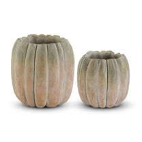 Whitewashed Tall Orange &amp; Green Pumpkin