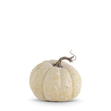 Load image into Gallery viewer, Whitewashed Textured Pumpkin