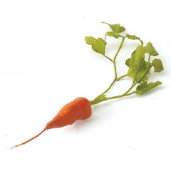 Orange Short Carrot - 13" Inch