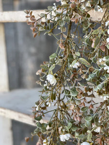 Chalice Blooms Hanging