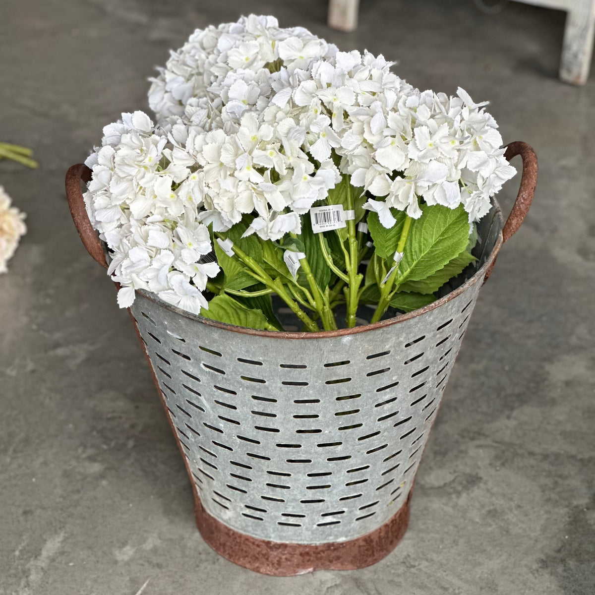 White Hydrangea Stem