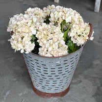 Large Metal Olive Bucket