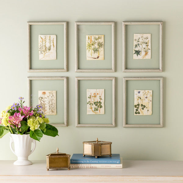 Floating Framed Botanicals