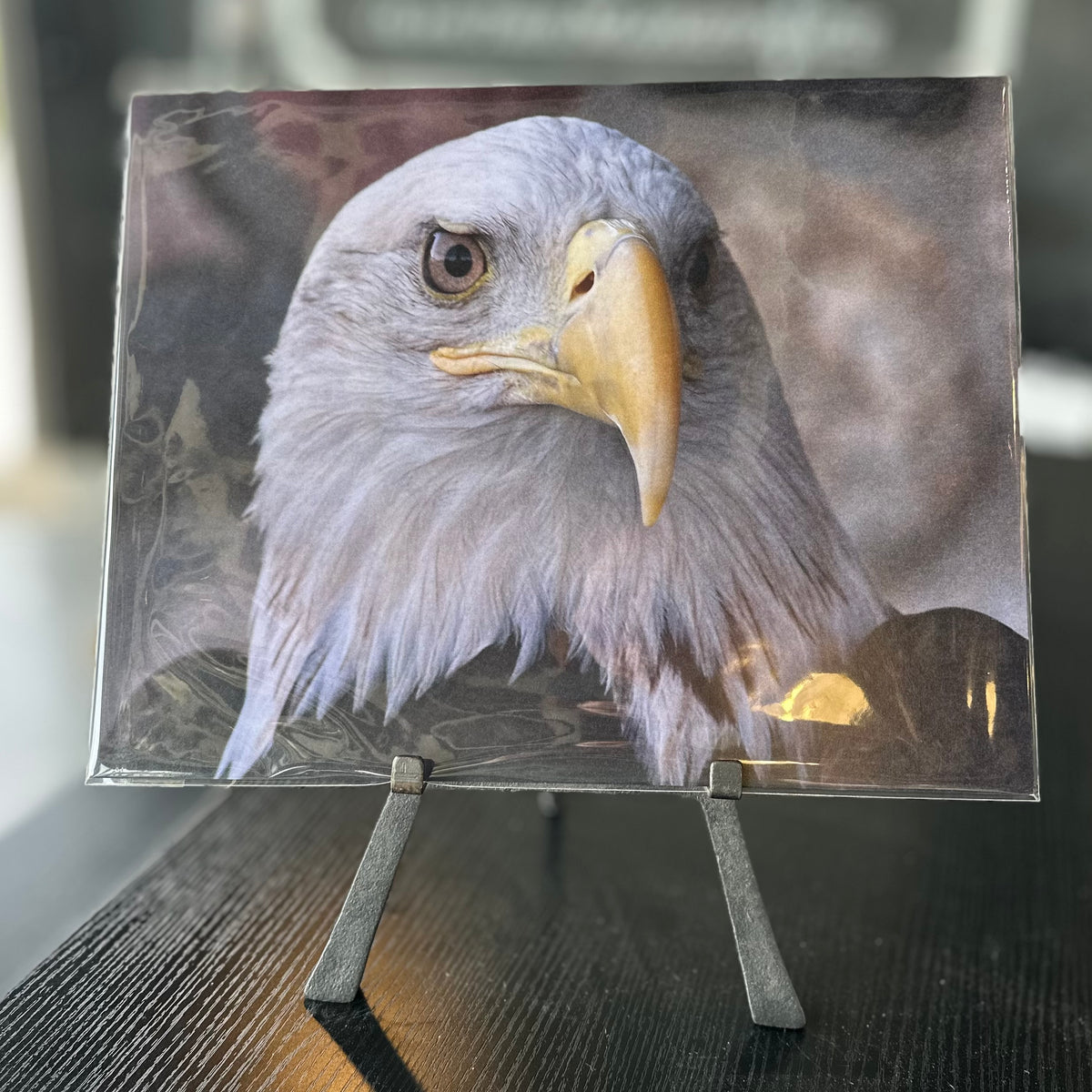 Portraits of the Season