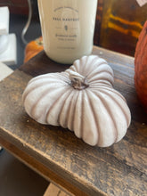 Load image into Gallery viewer, Whitewashed Resin Pumpkin