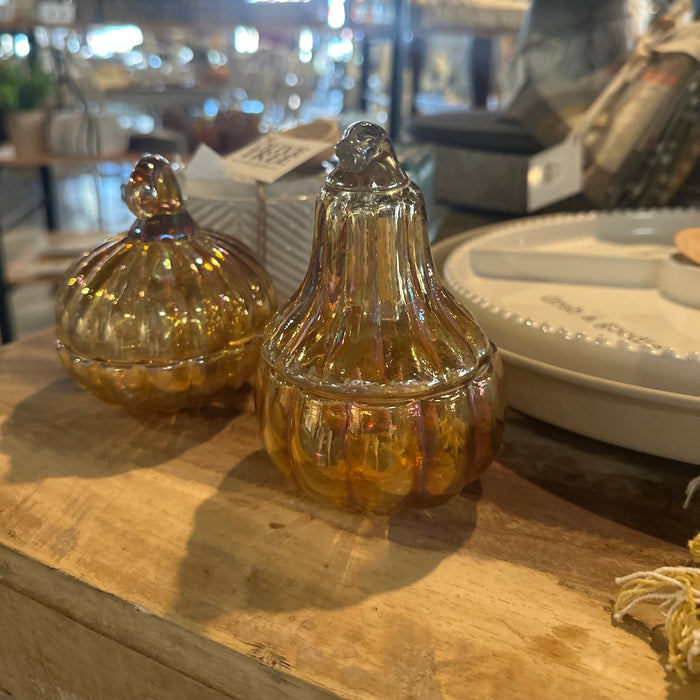 Glass Pumpkin/Squash Jar