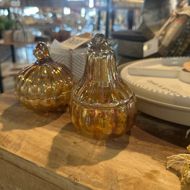 Glass Pumpkin/Squash Jar