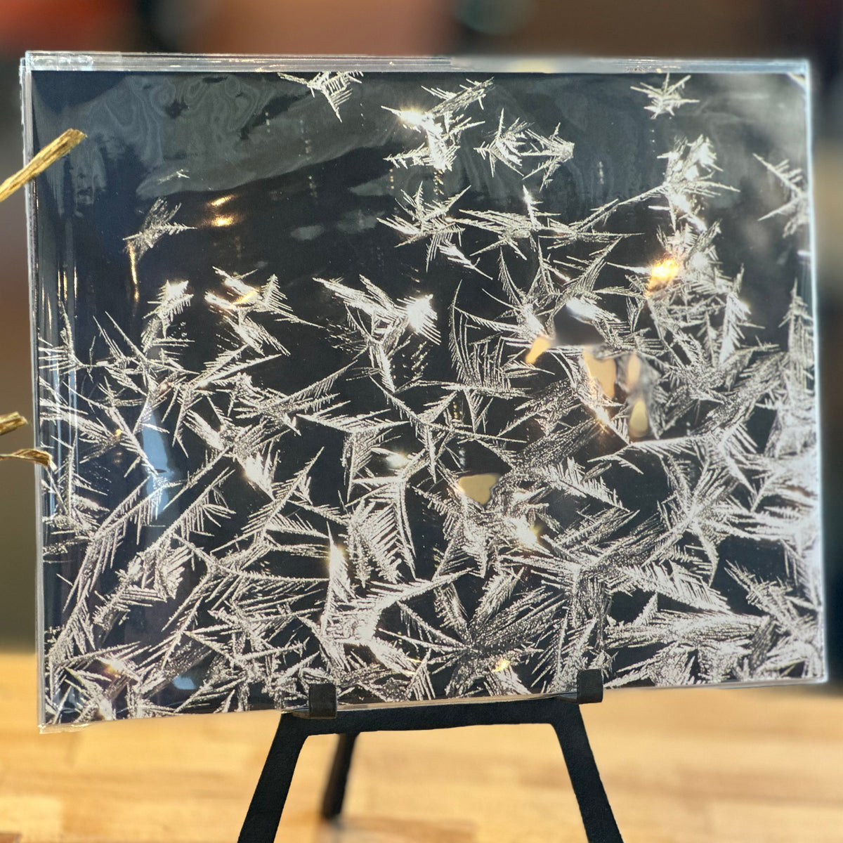 Portraits of the Season