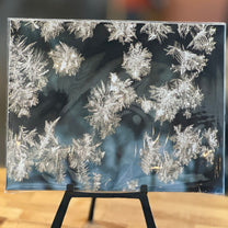 Portraits of the Season