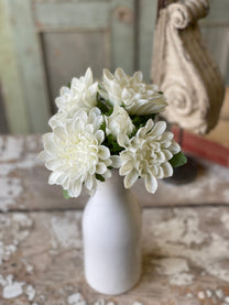 Chrysanthemum Bundle