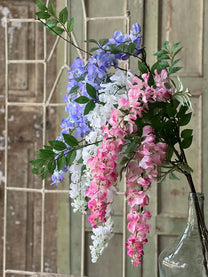 Waterfall Wisteria