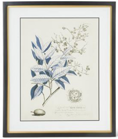 Blue Arbor Prints in Black w/ Gold Frame