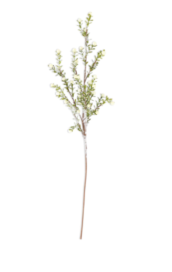 27 Inch Powdered Eucalyptus Stem w/Mini Pinecones