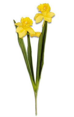 18" Yellow Real Touch Daffodil with Double Bloom and Bud