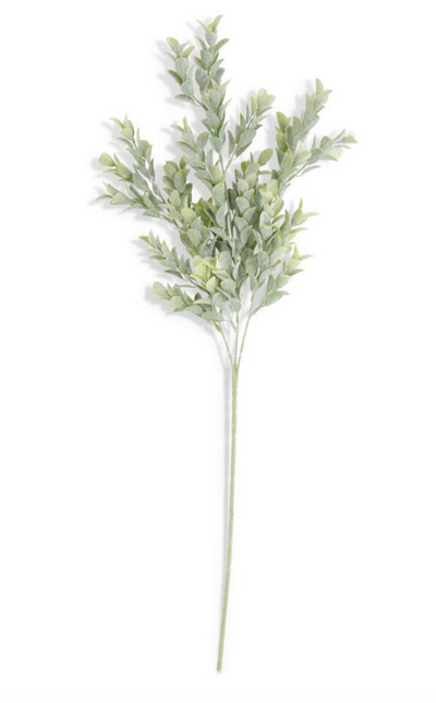 26 Inch Powdered Boxwood Stem