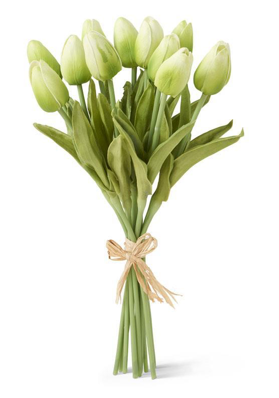 Green Real Touch Mini Tulip Bundle