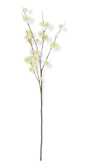 34" Sycamore Fruit Ball Stem