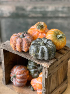 Bagged Colorguard Pumpkins