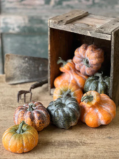 Bagged Colorguard Pumpkins