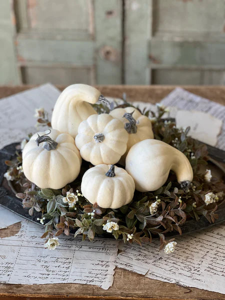 Bagged Fall's Folly Mini Pumpkins