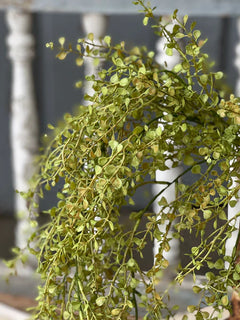 Baby's Grass Hanging