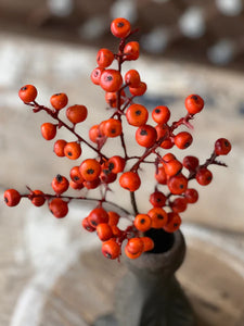 Orange Cranberries Pick