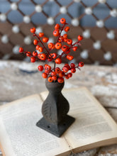 Load image into Gallery viewer, Orange Cranberries Pick
